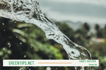 grey water ใช้น้ำซ้ำเพื่อรดต้นไม้