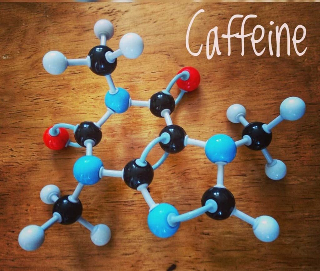 การบริโภคกาแฟที่มีคาเฟอีนไม่เพิ่มความเสี่ยงต่อโรคหลอดเลือดหัวใจและมะเร็ง
